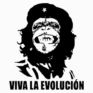 Viva La Evolucion - Poduszka Biała