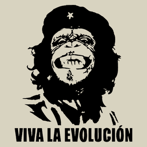 Viva La Evolucion - Torba Na Zakupy Natural
