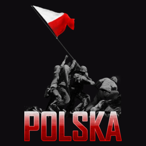 Wbicie flagi vol. 2- Polska - Męska Koszulka Czarna