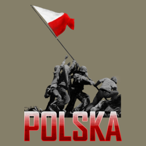 Wbicie flagi vol. 2- Polska - Męska Koszulka Jasno Szara